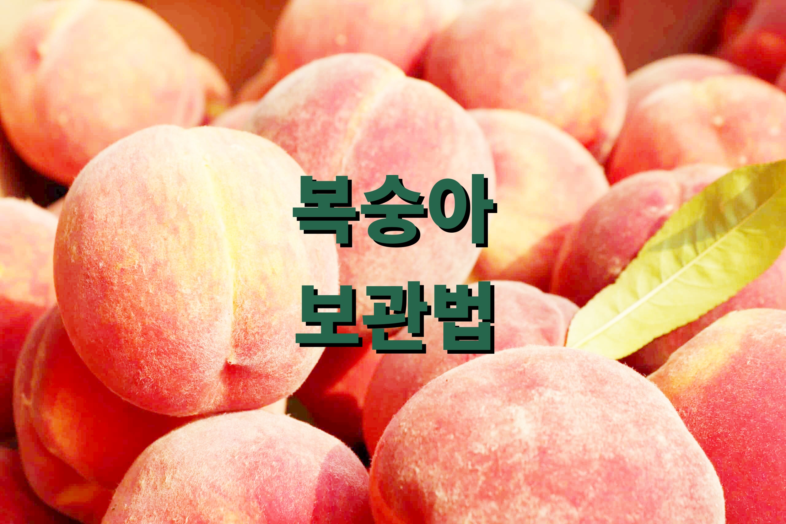 복숭아 보관법