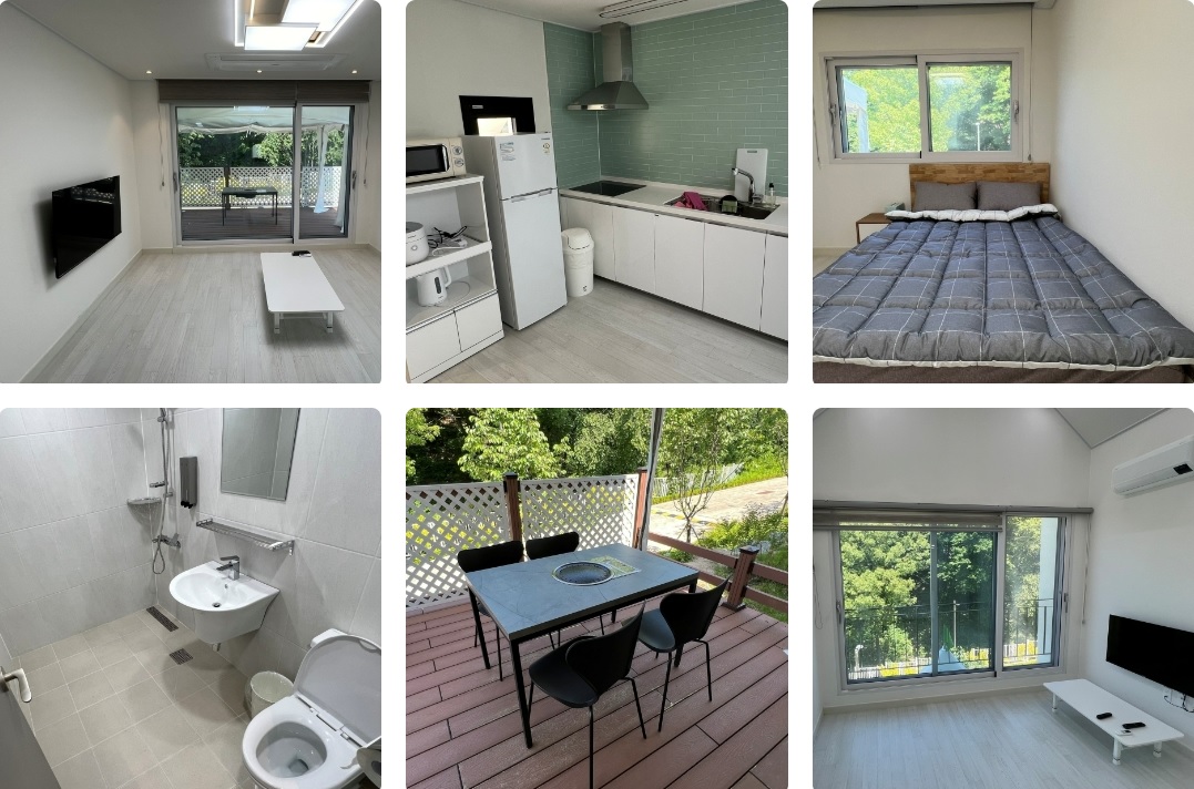 용인 자작나무숲 가을꽃축제