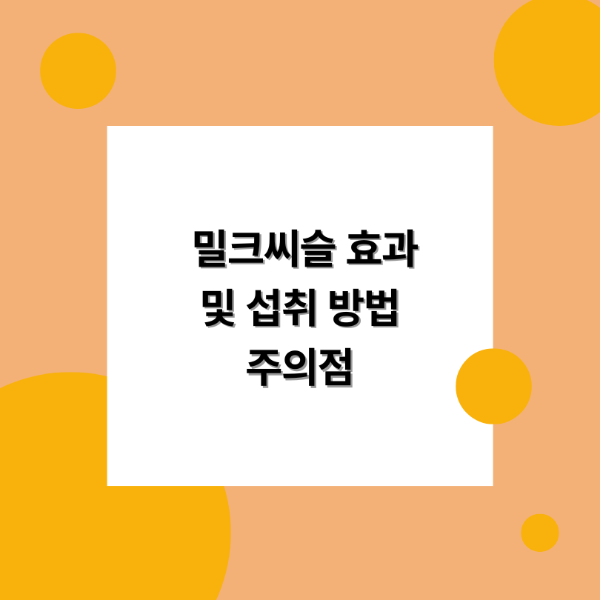 밀크씨슬 효과와 밀크씨슬이 포함된 음식, 간 건강과 면역력에 좋은 이유