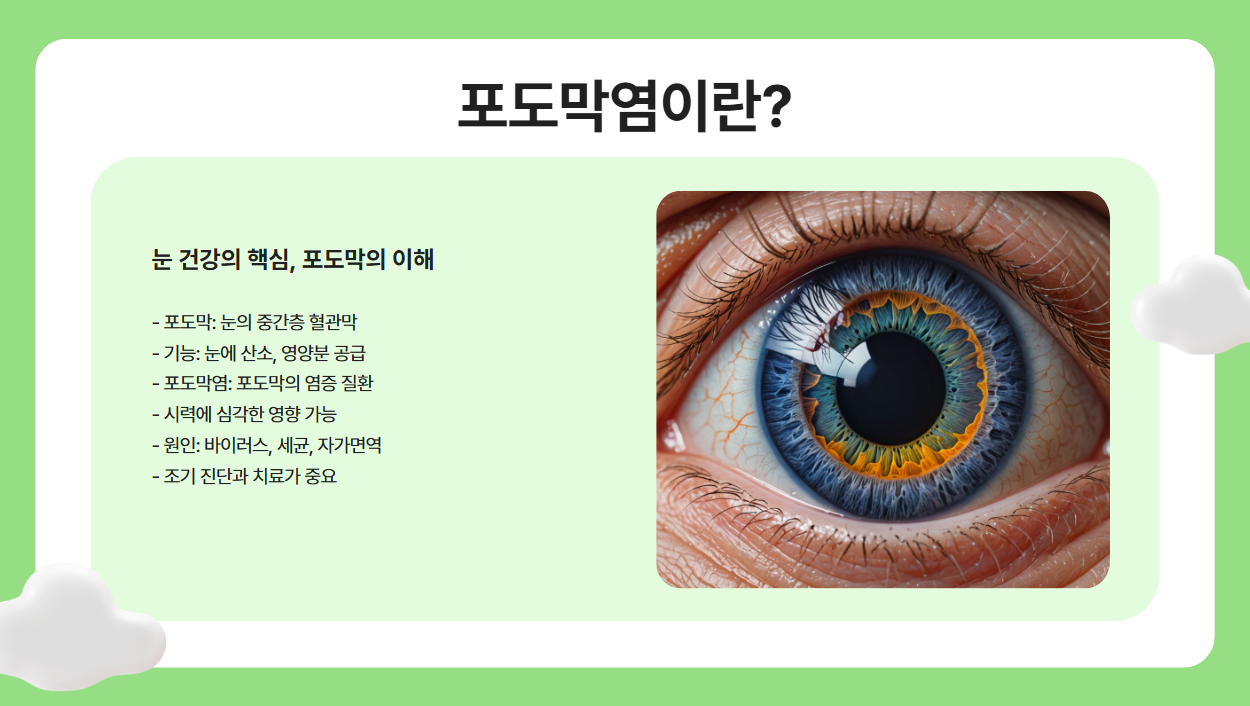 포도막염이란?