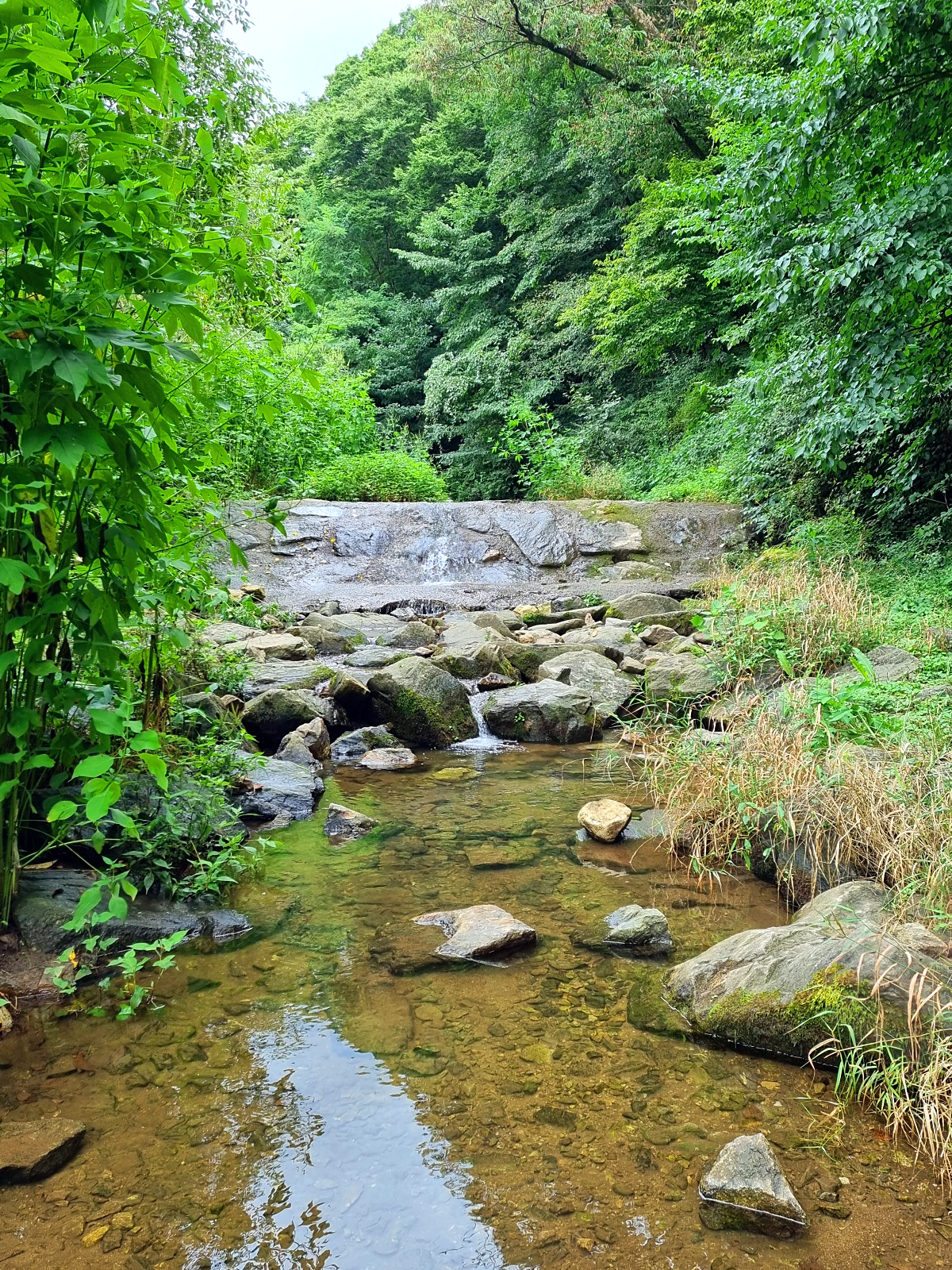 서울근교 파주 계곡 보광사: 문화, 역사, 자연이 있는 절과 물놀이하기 좋은 계곡