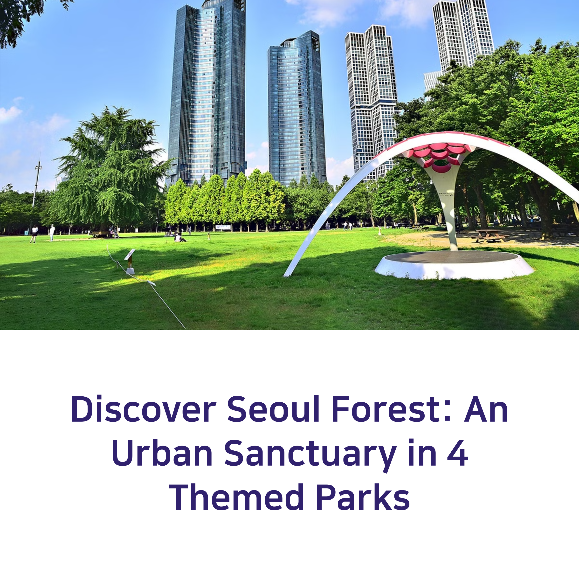 A Comprehensive Guide to Seoul Forest: Recommended Routes and Tips