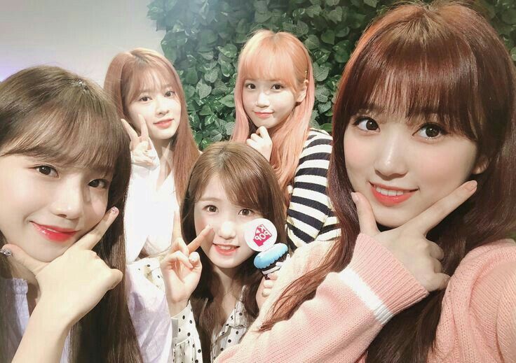 아이즈원 프로듀스48 사진 모음 아이즈원 프로듀스48 사진 모음