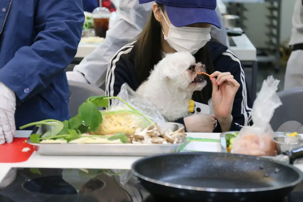 댕댕이와 함께하는 숲속 멍스토랑4