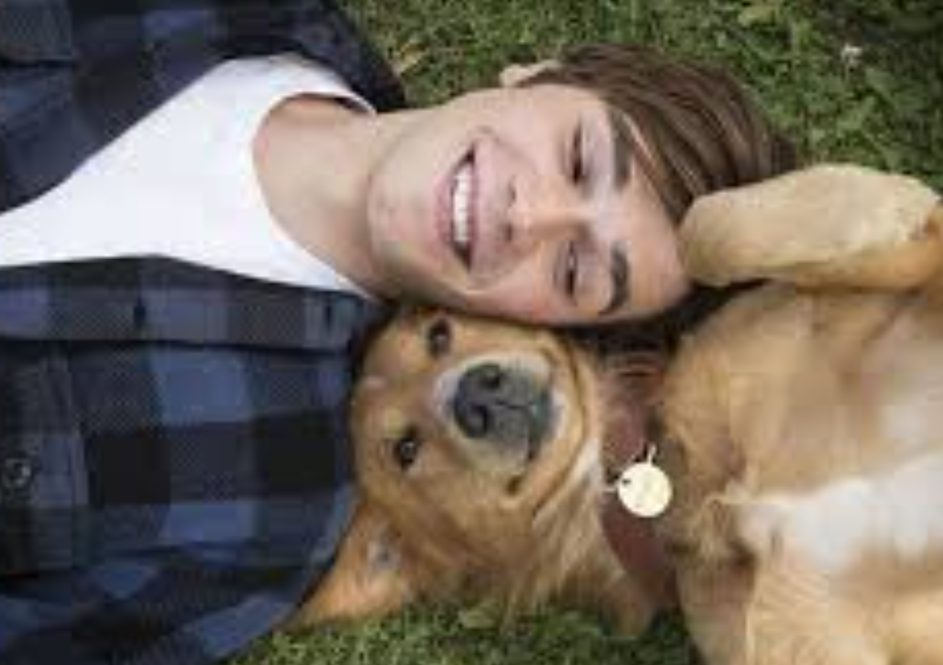 베일리- 여러 번의 삶