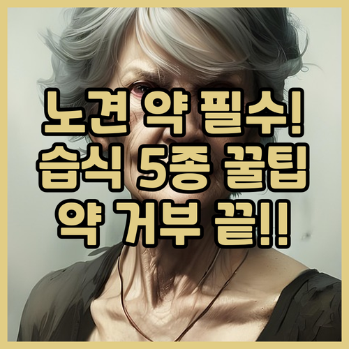 노령견 약 급여 필수템 강아지 화식 ..