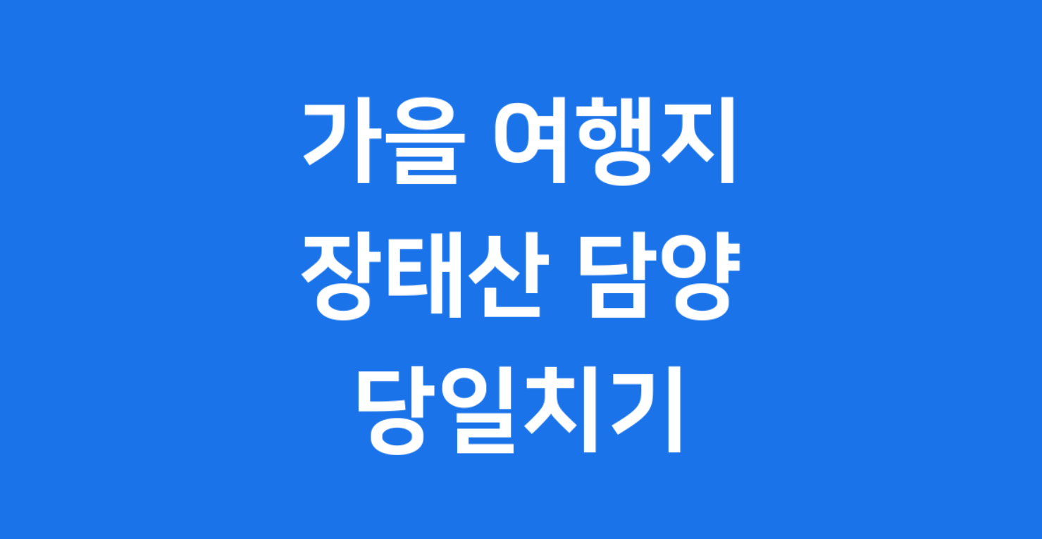대전 장태산자연휴양림과 담양 메타세콰이아길 가을 드라이브