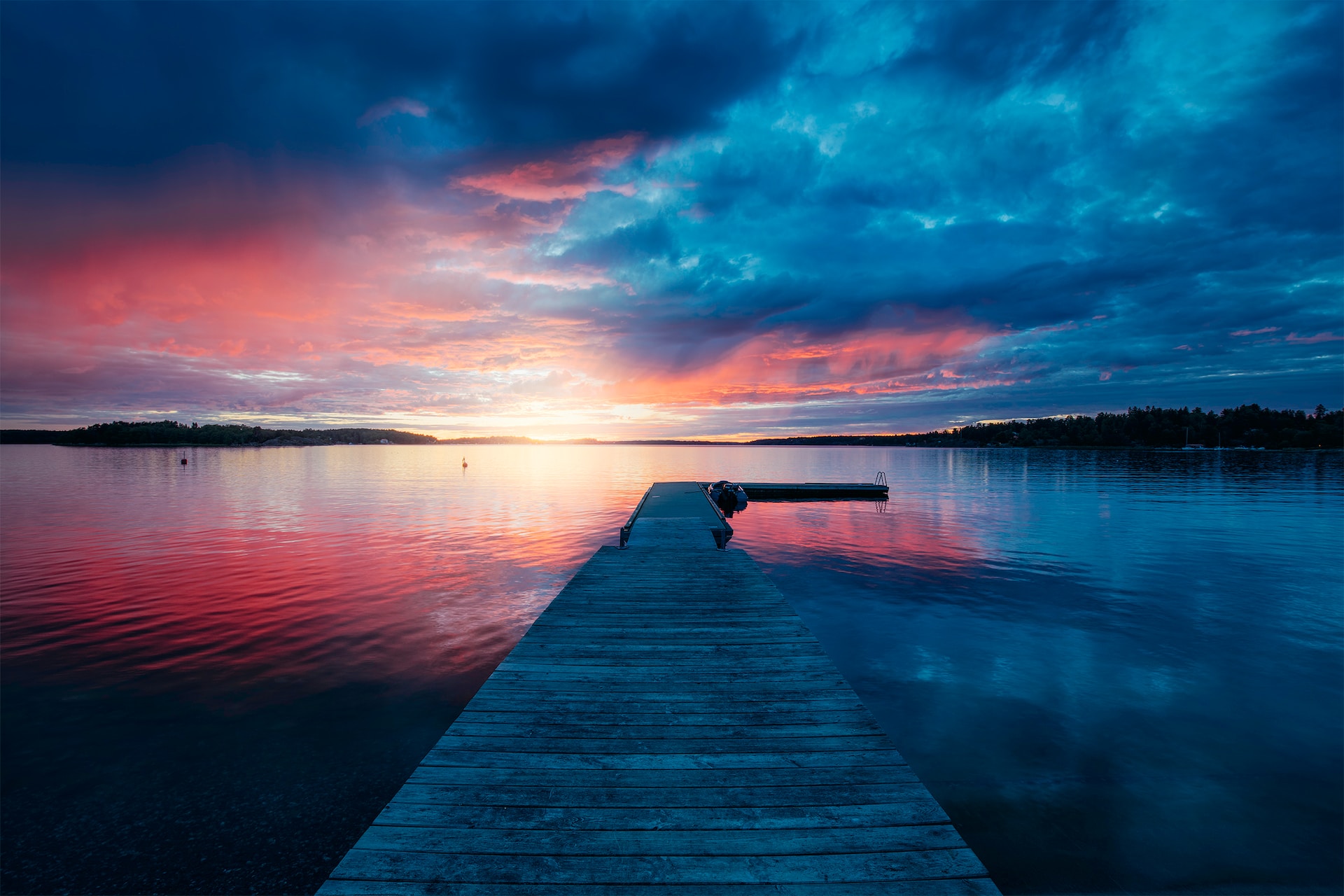 오늘의 대출 목록 - 아이디어 탐색자를 위한 존 클리즈의 유쾌한 창조성 가이드, 한국인들의 이상한 행복, 바늘 끝에 사람이, 바라; 봄