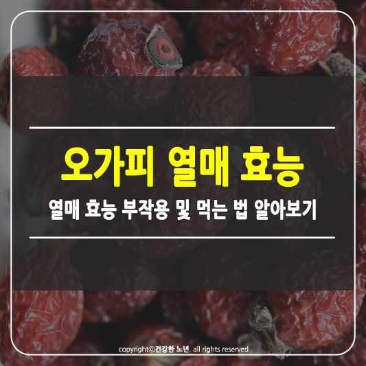 오가피 열매 효능