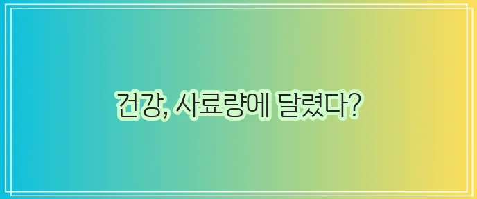 고양이 사료 급여량 결정 건강한 식습관이 중요하죠!