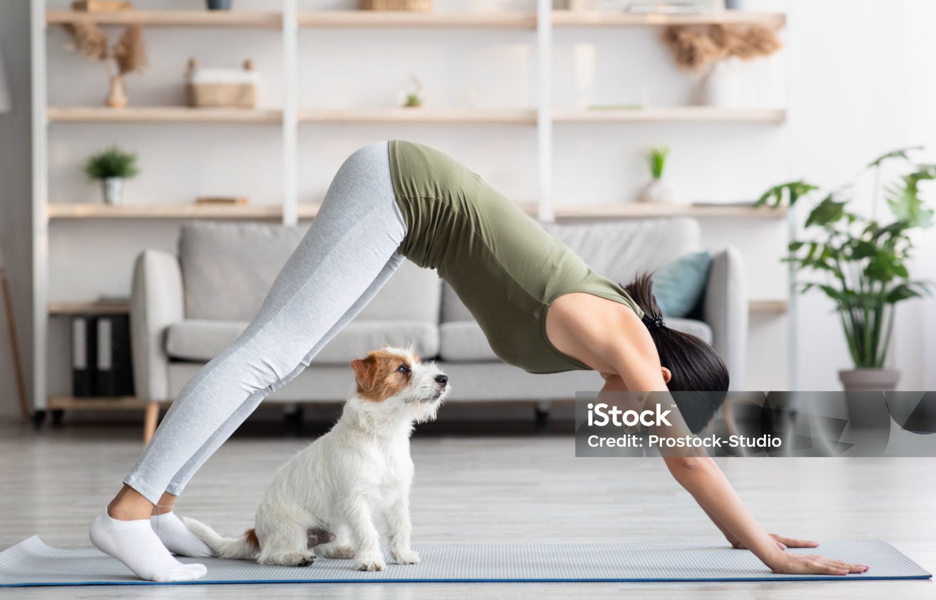 정기적인 스트레칭과 요가를 통한 척추 유연성 회복과 근력 강화가 꼭 필요합니다.