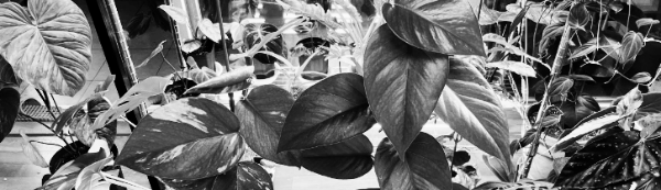 최적 온도: 15~25도