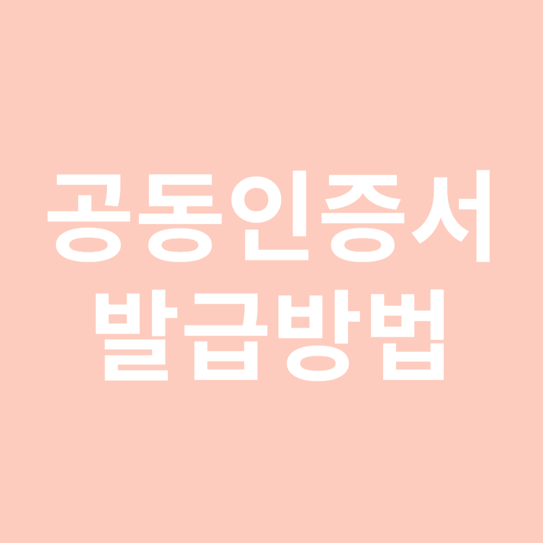 공동인증서 발급 방법