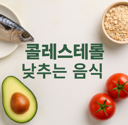콜레스테롤 낮추는 음식
