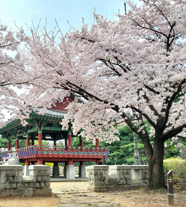 행주가 예술이야 축제 행주산성의 밤은 예술이다 총정리
