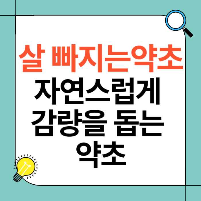살빠지는 약초
