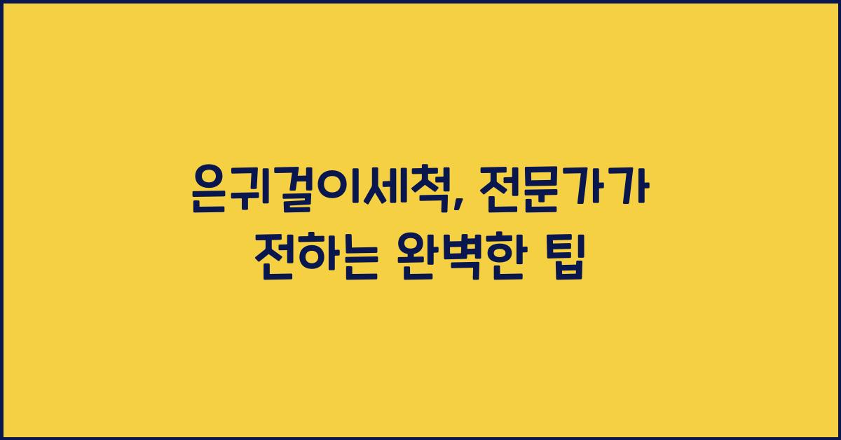 은귀걸이세척