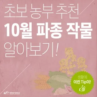 2025년 10월에 파종하기 좋은 작물들 농업 재배법_20