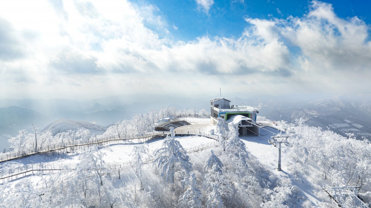 정선 가리왕산 케이블카1