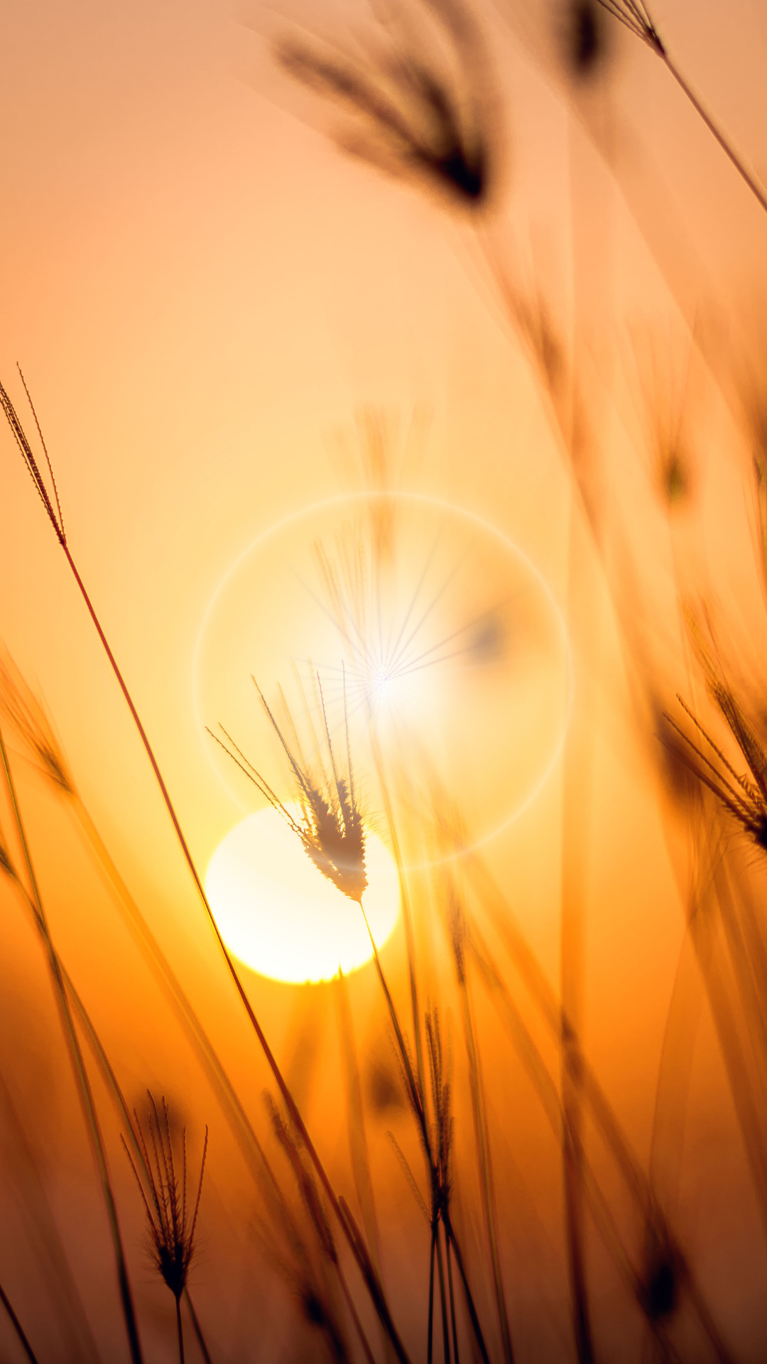 저녁노을 스마트폰 배경화면 이미지 사진