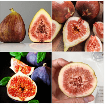 무화과