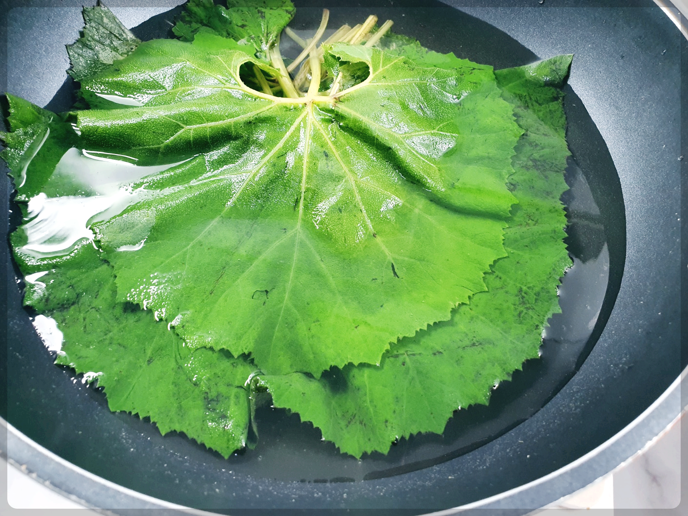 곰취장아찌 만드는법