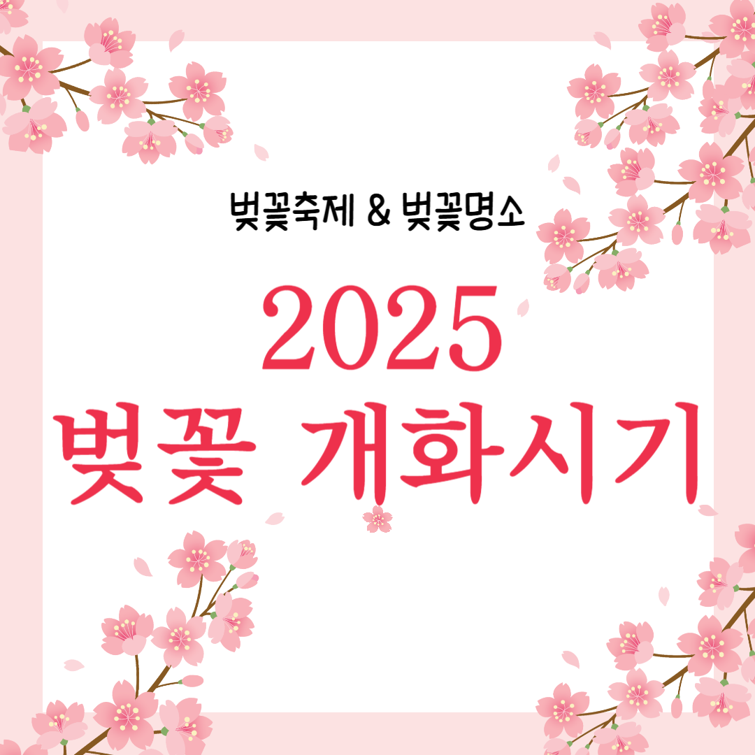 2025 벚꽃축제
