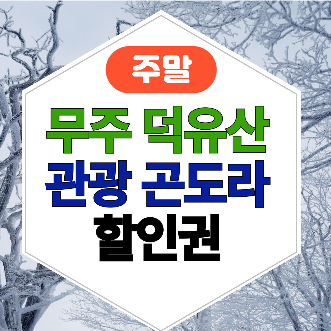 덕유산 케이블카 예약