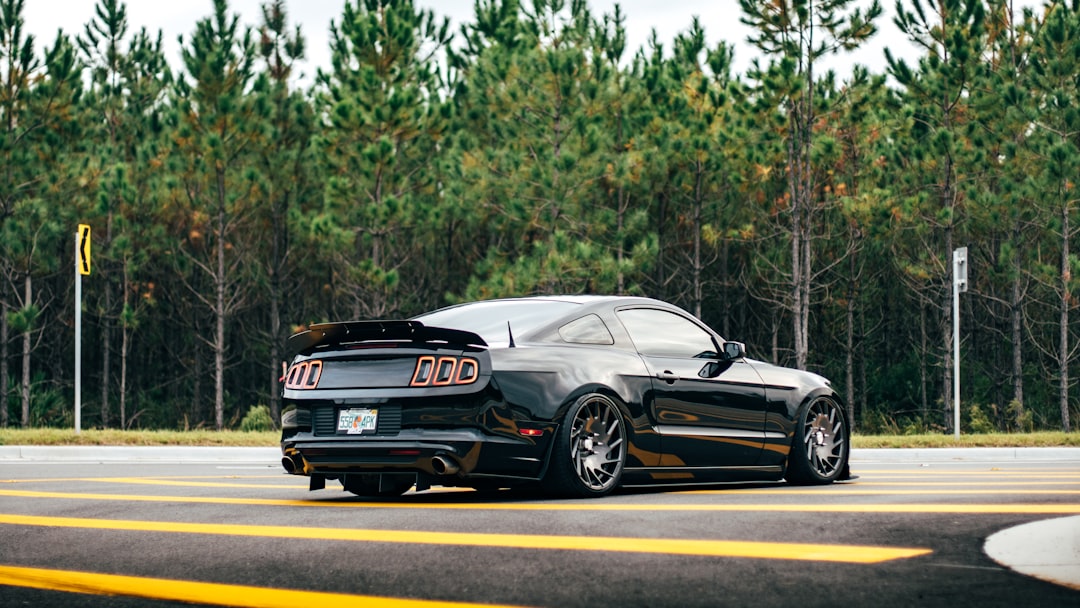 Bumper.