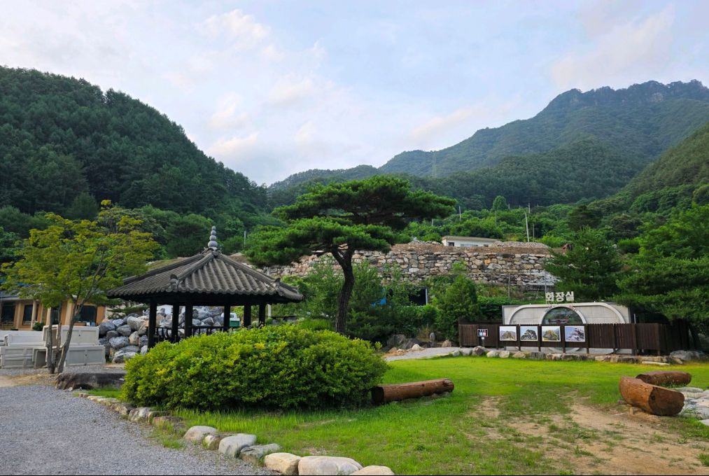 솔고개소나무