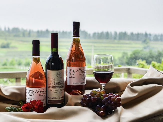 MZ세대는 왜 주식보다 와인을 살까?