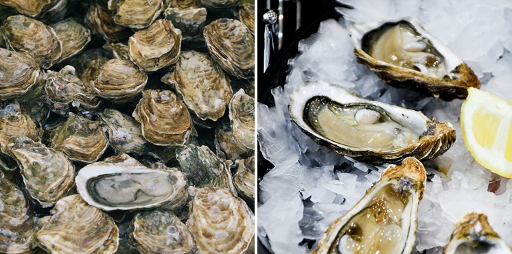 노로바이러스 예방 관리