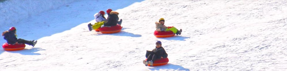 얼음나라 화천산천어축제, 이용요금 및 주차에 대한 정보입니다. 화천산천어축제는 23년 1월달에 진행하는 축제입니다.