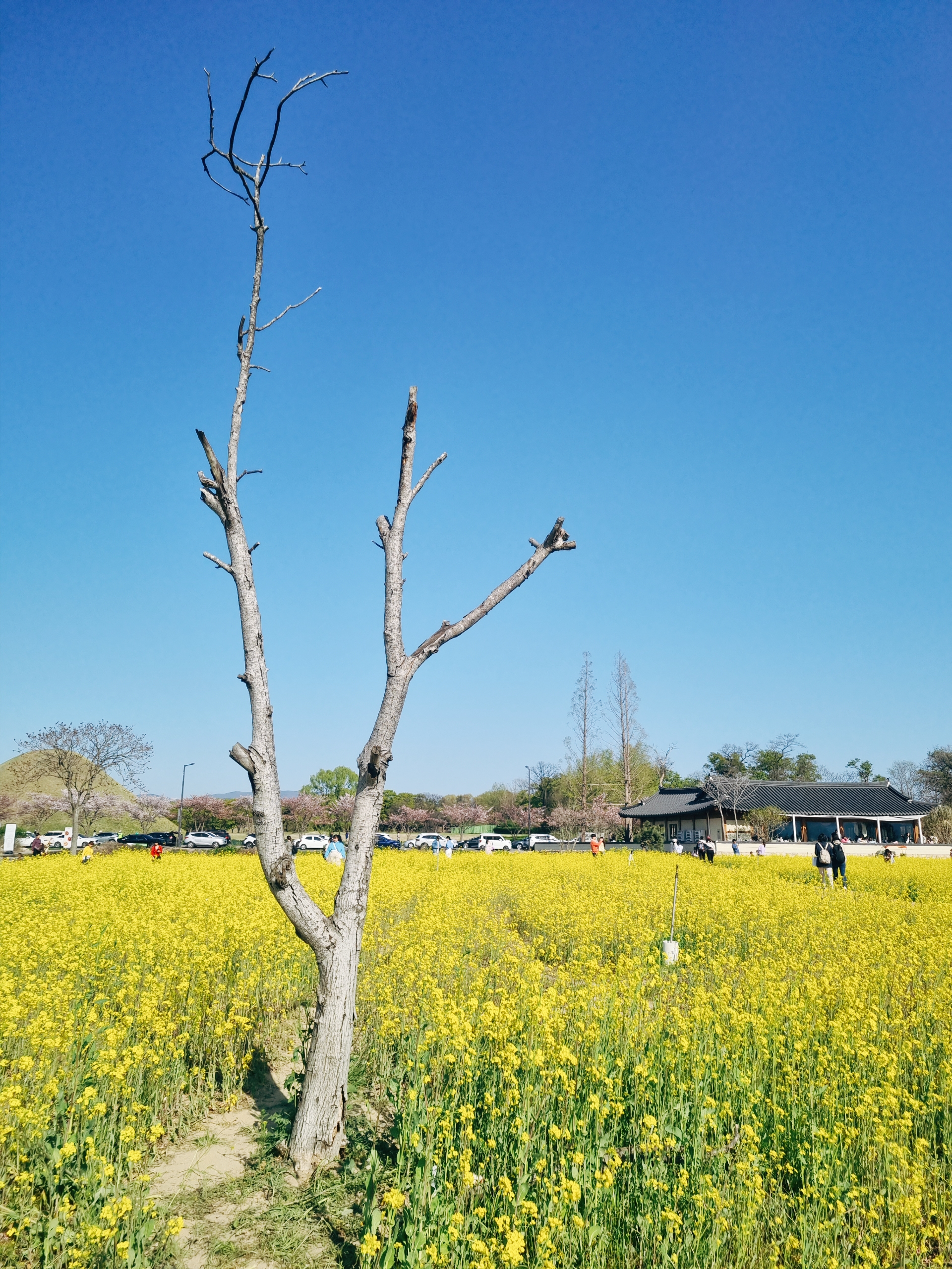 경주