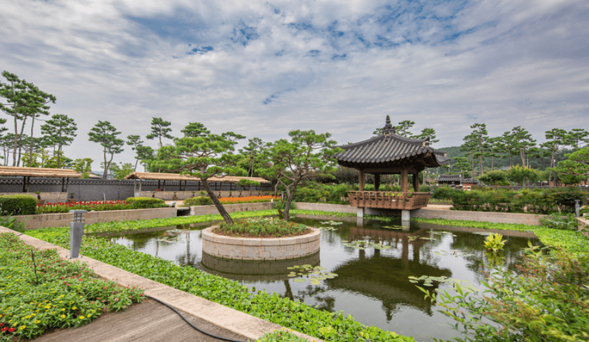 무안 연꽃 축제 회산 백련지 입장료, 축제 일정, 초대가수