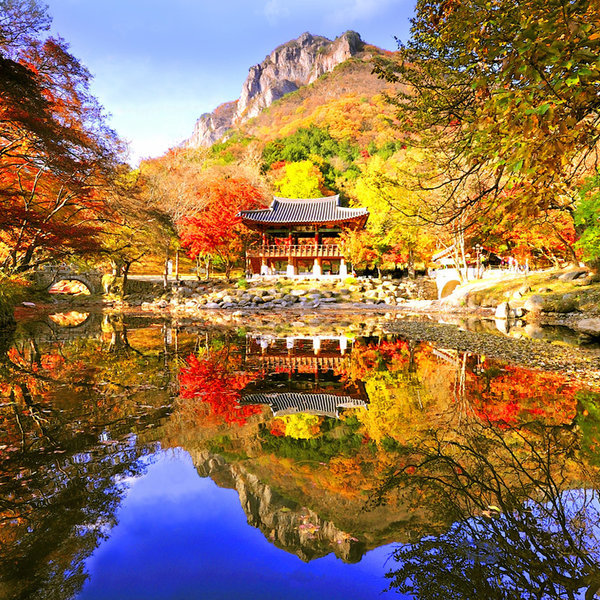 장성 백양사 단풍