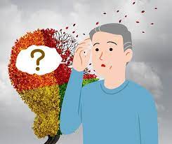 치매 검사는 어디서