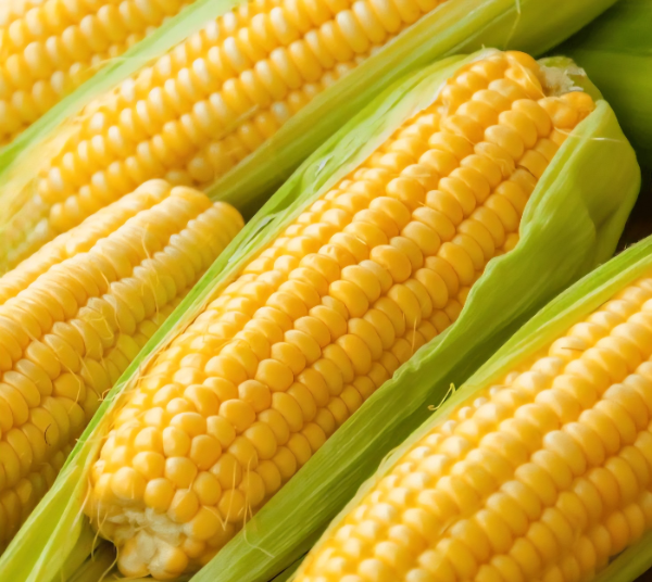 6월 제철음식, 옥수수