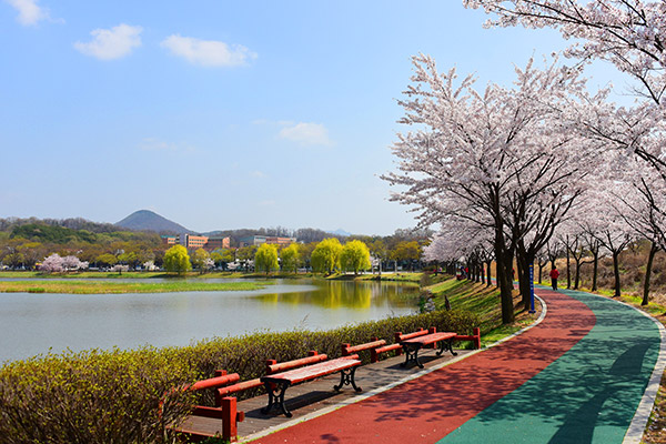 화랑유원지 사진