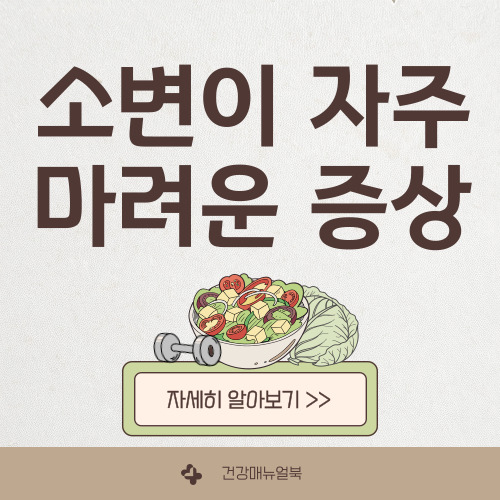소변이 자주 마려운 증상
