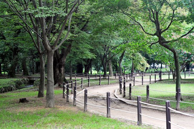 경주 계림 이미지