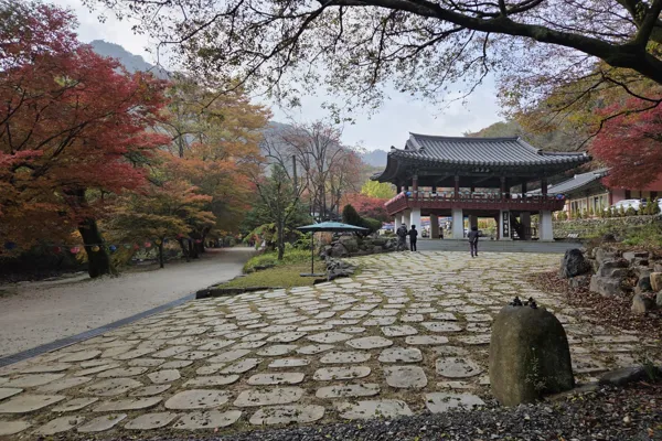강천산15