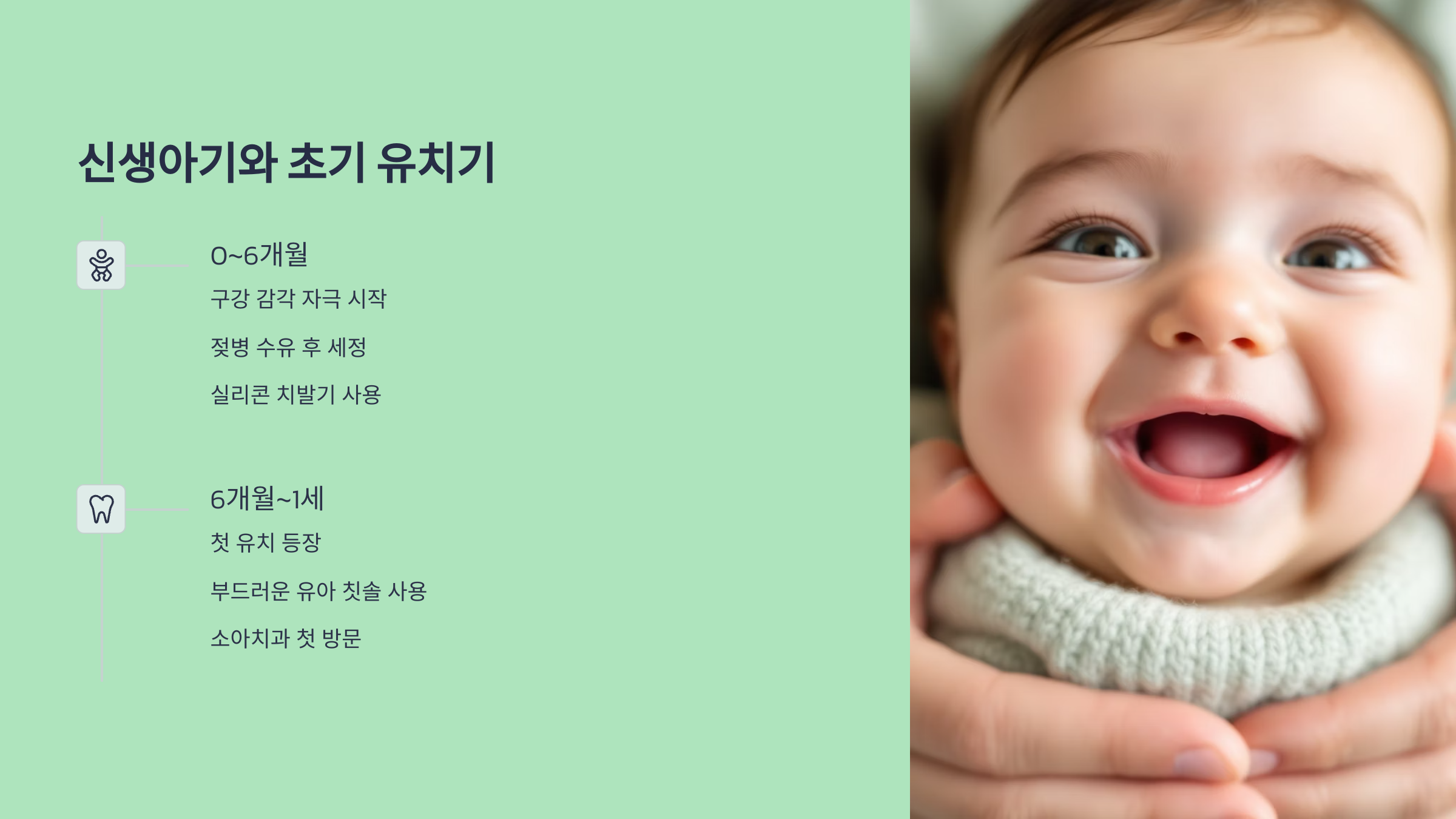 신생아기와 초기 유치기