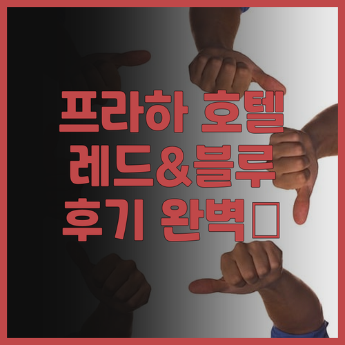 프라하 레드 & 블루 디자인 호텔: ..