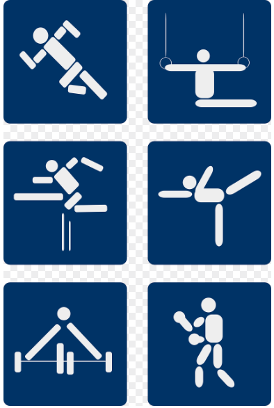 여름 올림픽과 겨울 올림픽 종목차이 사진