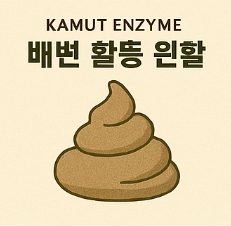 카무트 효소 효능