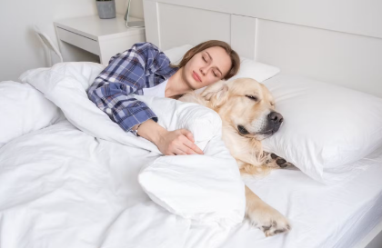 여성은 연인보다도 개와 함께 자는 편이 숙면
