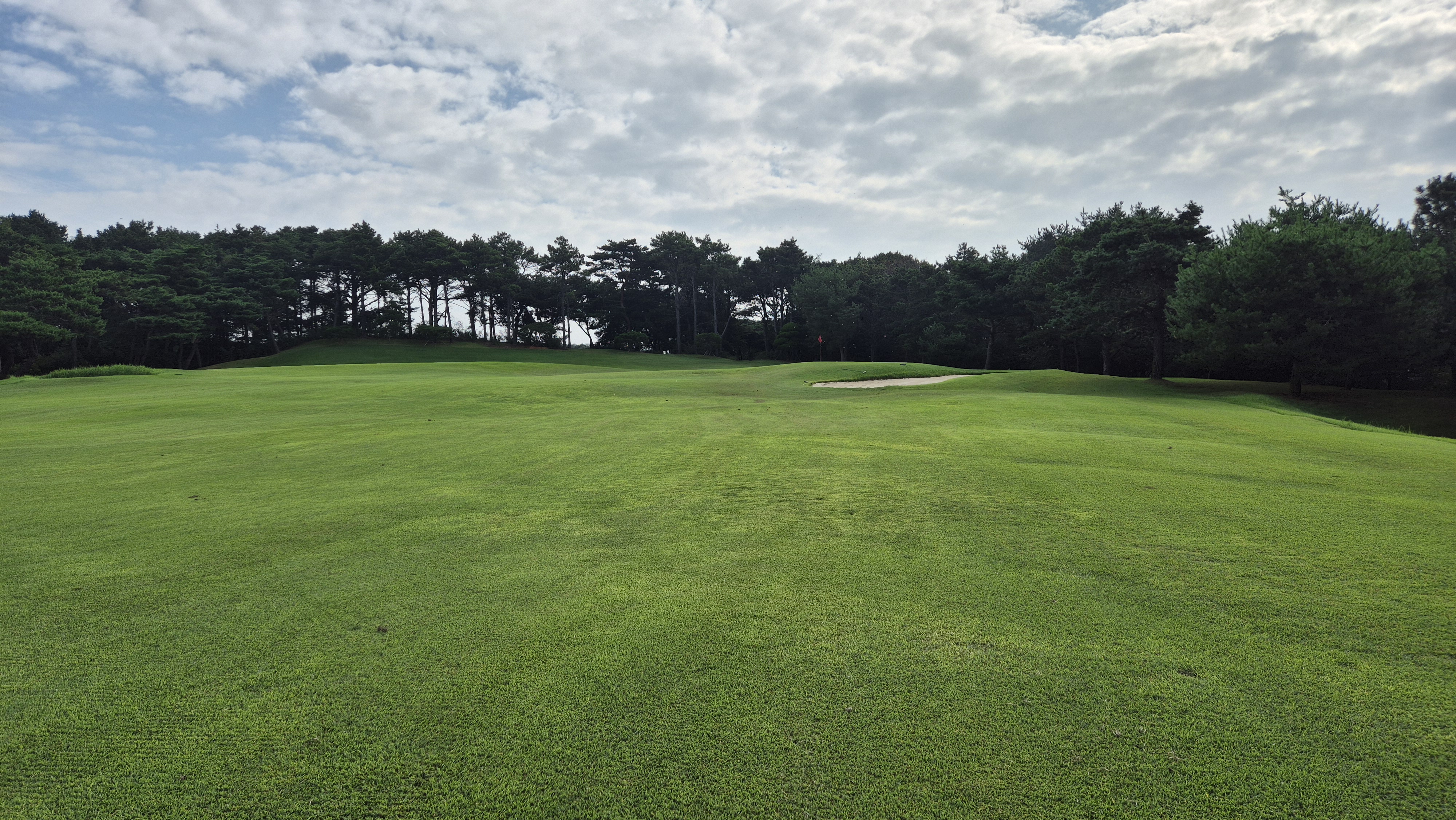 도고cc 코스 사진 및 공략 정보