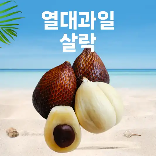 살락 열대과일