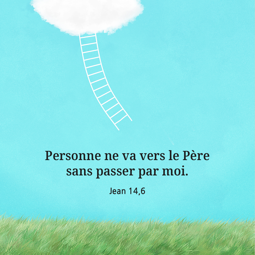 Moi, je suis le Chemin, la V&eacute;rit&eacute; et la Vie ; personne ne va vers le P&egrave;re sans passer par moi. (Jean 14,6)